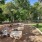 landscaped area with grass and a fence