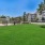 dog park with buildings in backgound